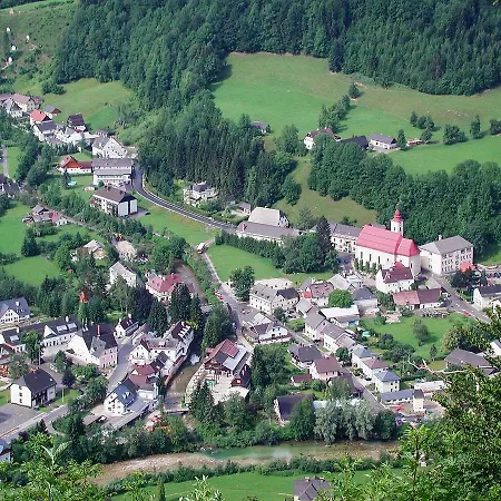 Hotel Zum Goldenen Hirschen 3*