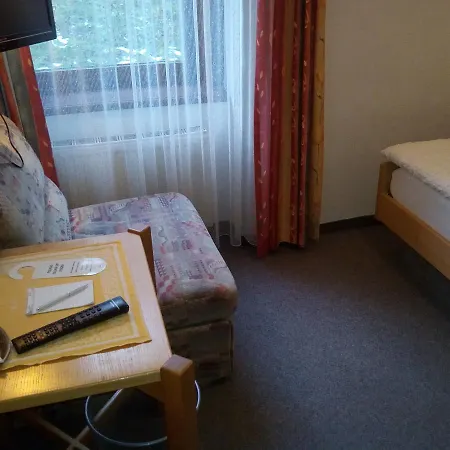 Hotel Zum Goldenen Hirschen 3*