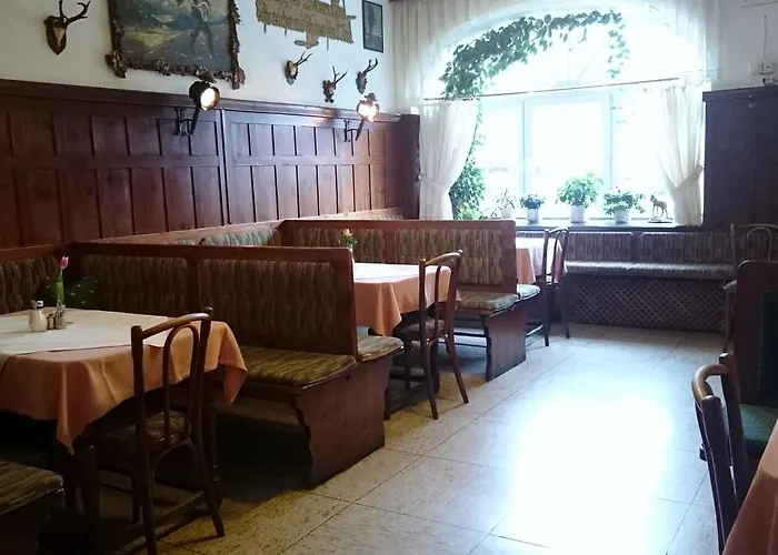 Zum Goldenen Hirschen 3* 거스텔링안더얍스