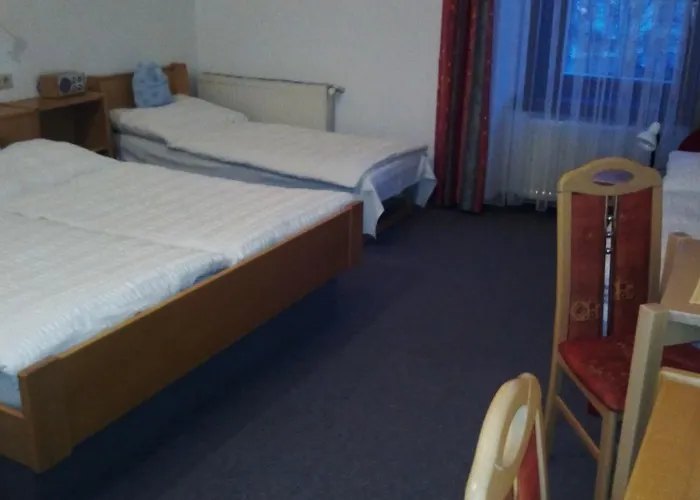 Zum Goldenen Hirschen 호텔